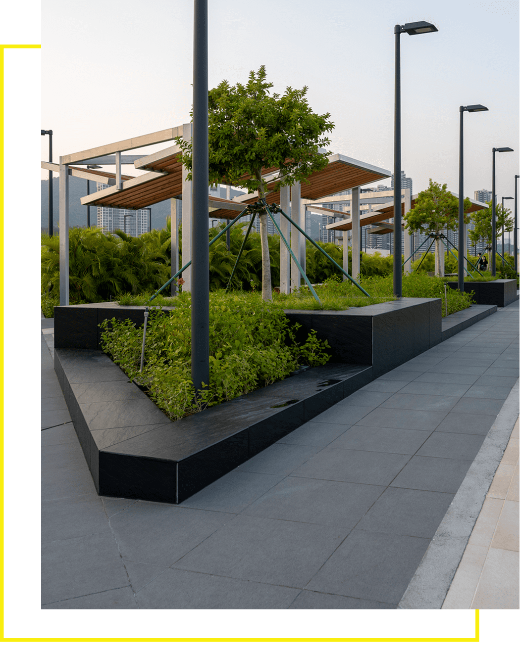 Outdoor pathway with plants and lights
