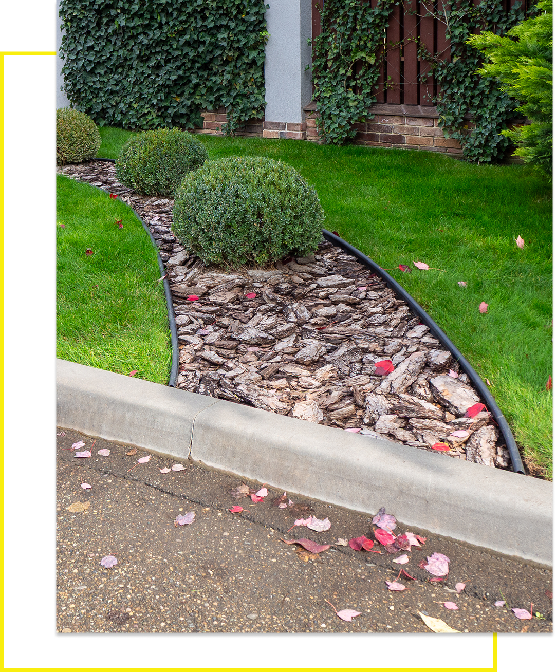 Neatly trimmed garden with mulch and shrubs