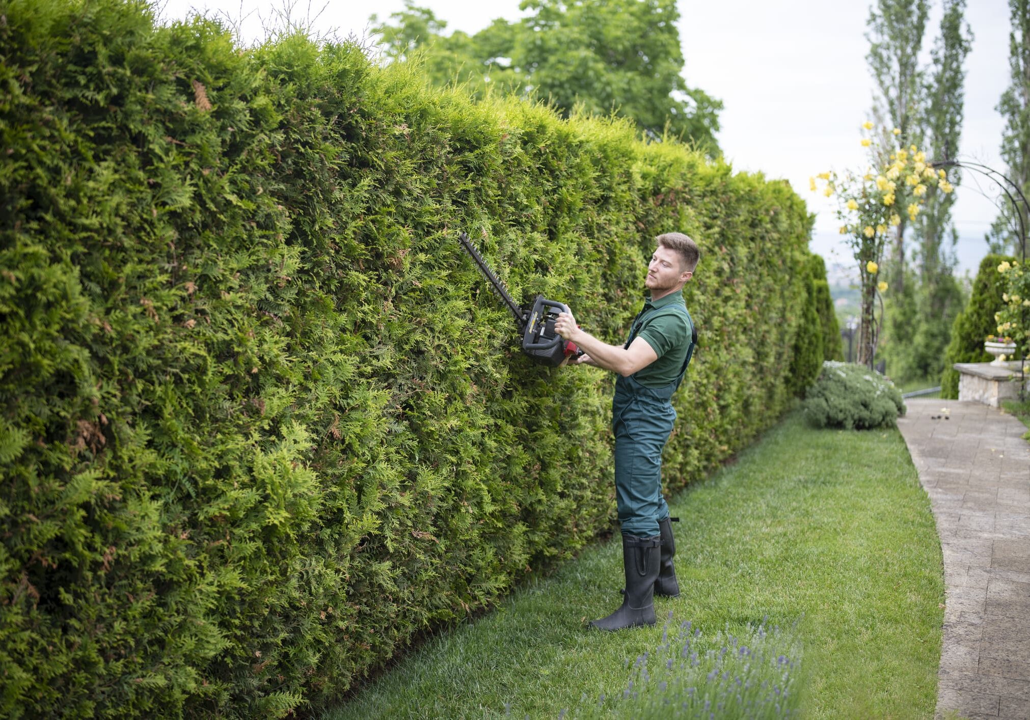 Person using hedge trimmer outdoors