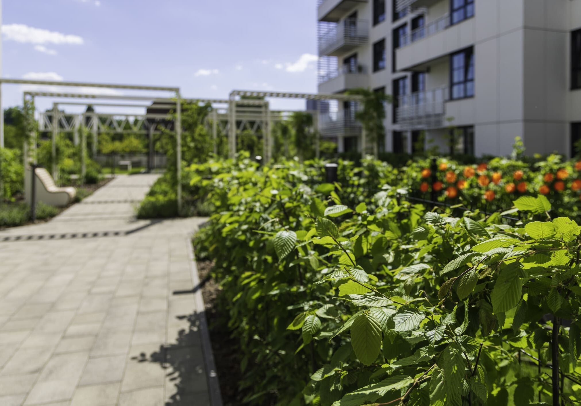 Modern apartment complex with garden