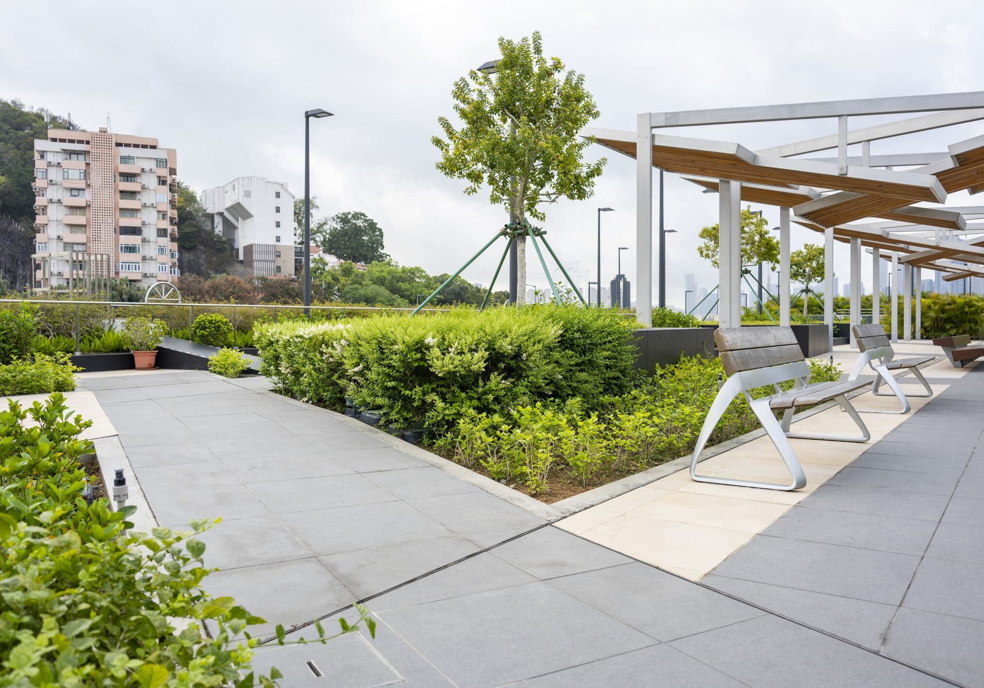 Modern rooftop park with lush plants